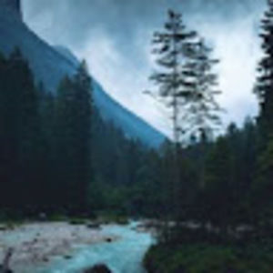 Meet your Posher, Nina